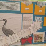Міжнародний день птахів в університеті